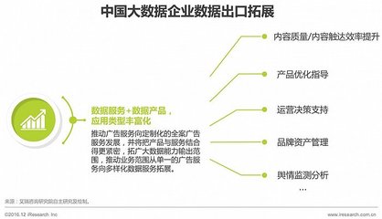 2016年中国数据驱动型互联网企业大数据产品研究 互联网数据服务的崛起与演进